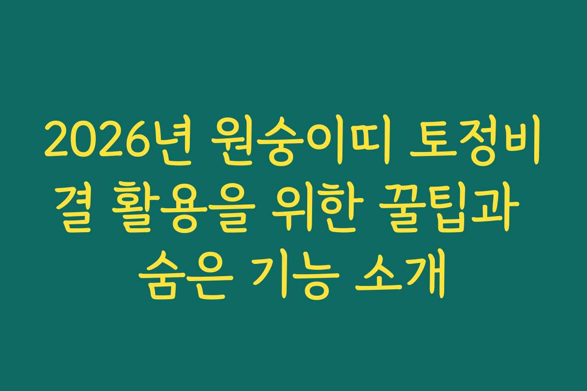 2026년 원숭이띠 토정비결 활용을 위한 꿀팁과 숨은 기능 소개