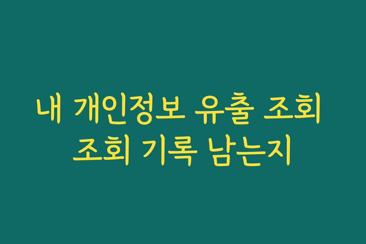 내 개인정보 유출 조회 조회 기록 남는지