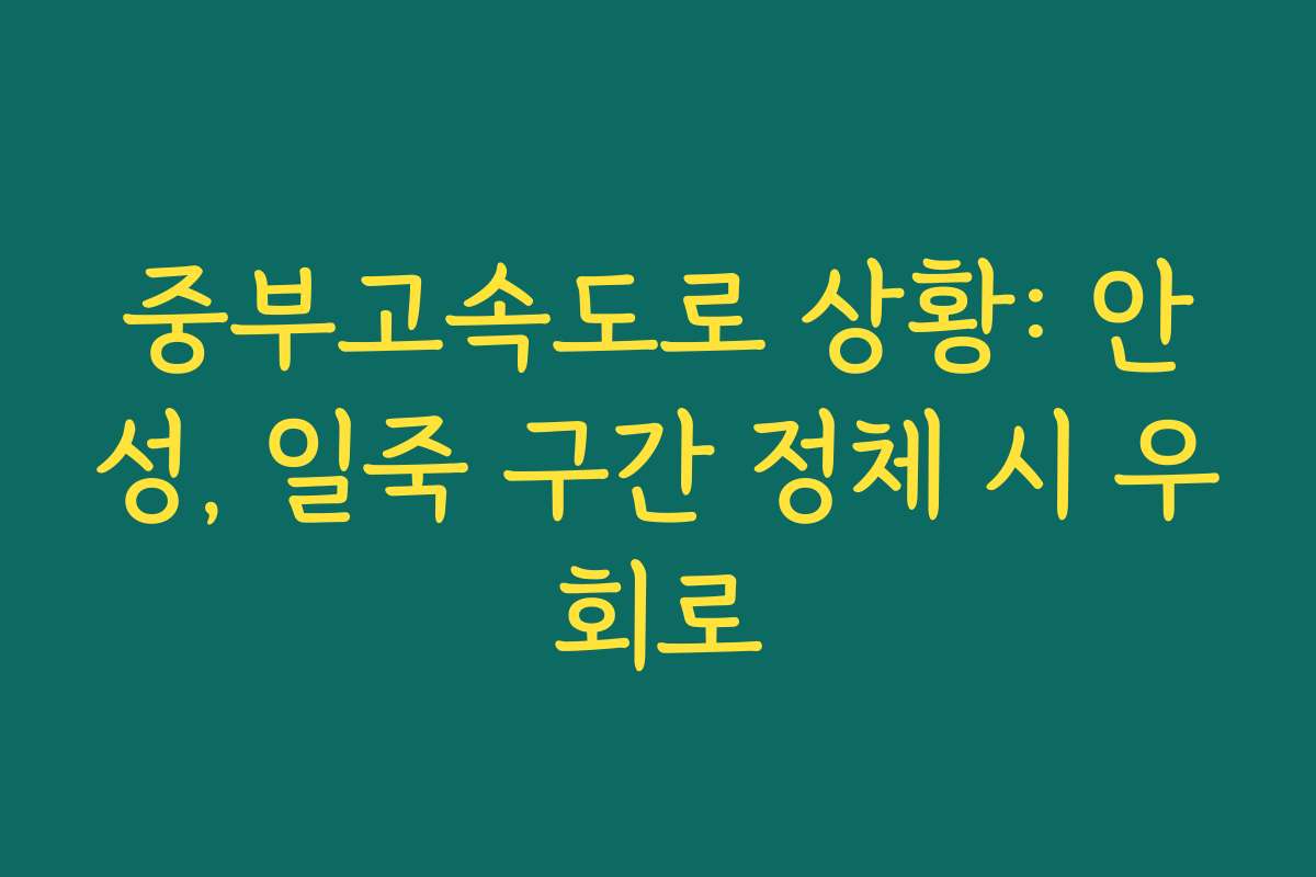 중부고속도로 상황: 안성, 일죽 구간 정체 시 우회로