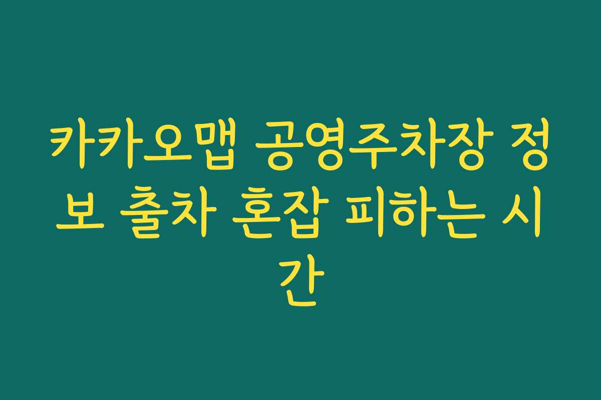 카카오맵 공영주차장 정보 출차 혼잡 피하는 시간