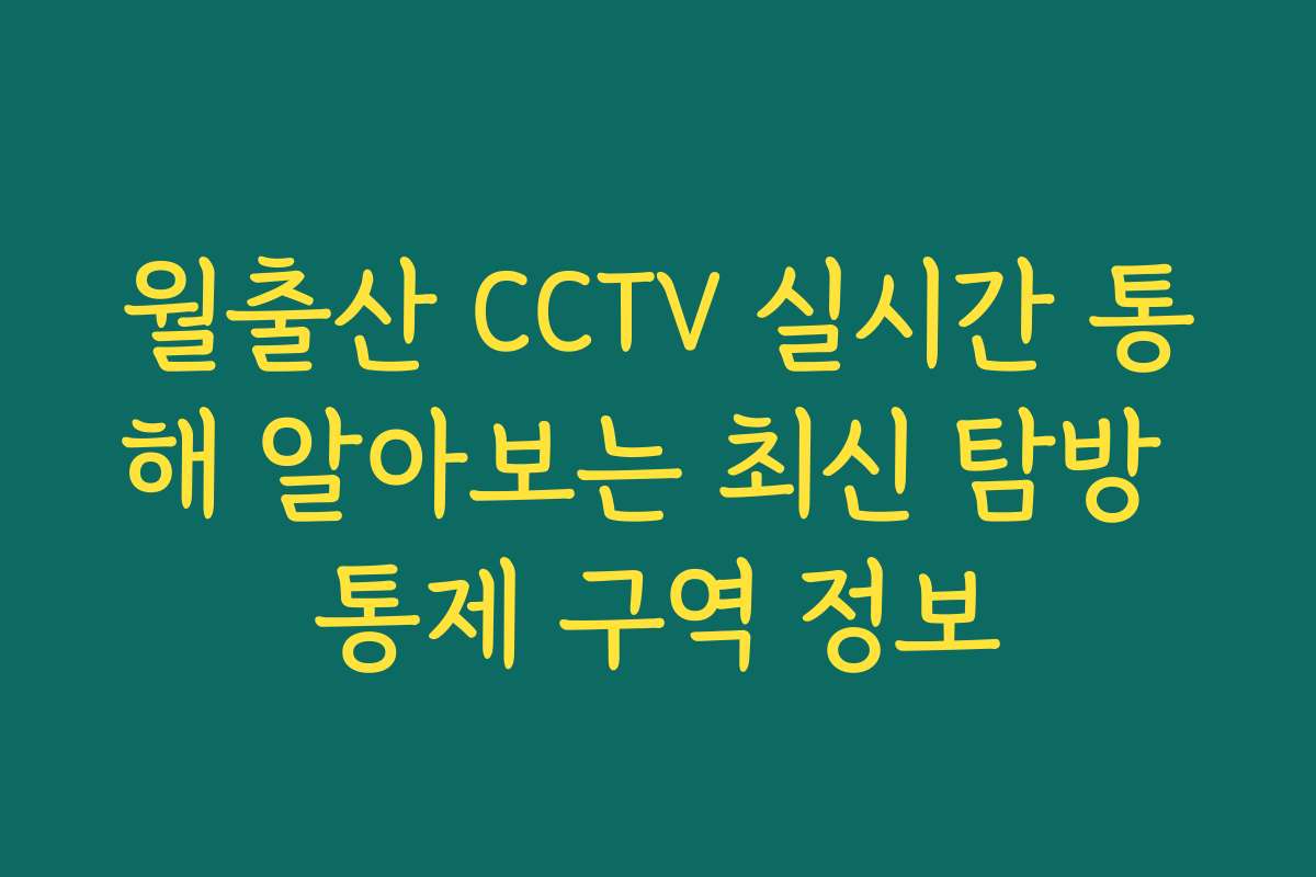 월출산 CCTV 실시간 통해 알아보는 최신 탐방 통제 구역 정보