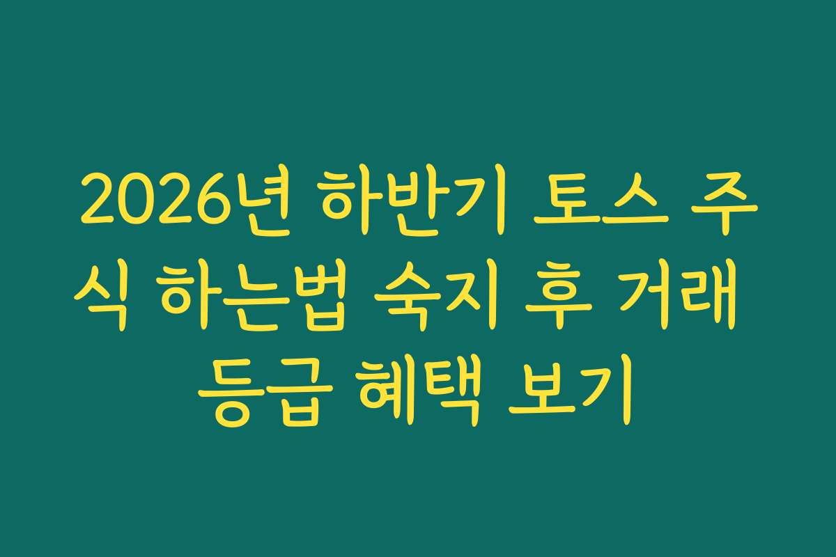 2026년 하반기 토스 주식 하는법 숙지 후 거래 등급 혜택 보기