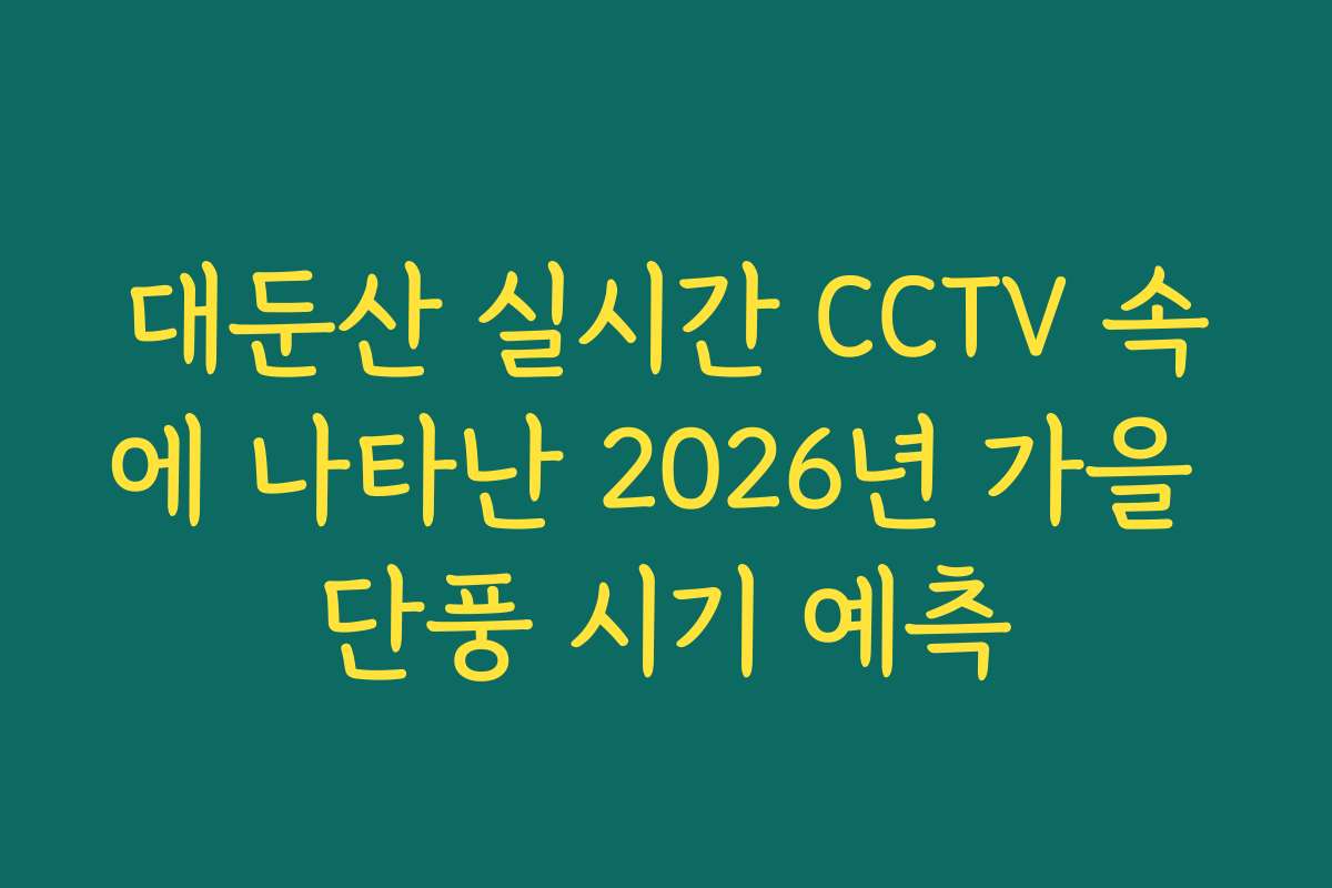 대둔산 실시간 CCTV 속에 나타난 2026년 가을 단풍 시기 예측
