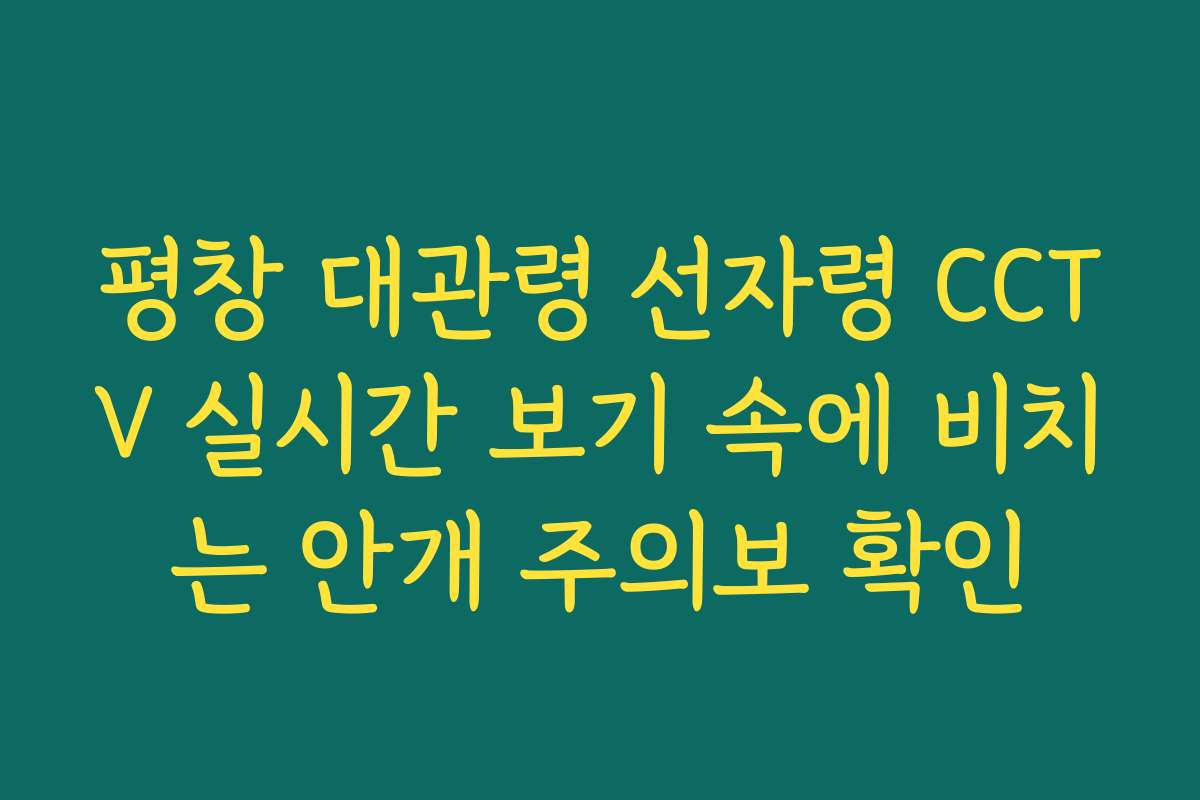 평창 대관령 선자령 CCTV 실시간 보기 속에 비치는 안개 주의보 확인