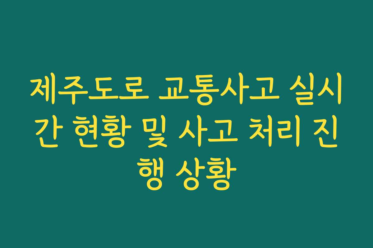 제주도로 교통사고 실시간 현황 및 사고 처리 진행 상황