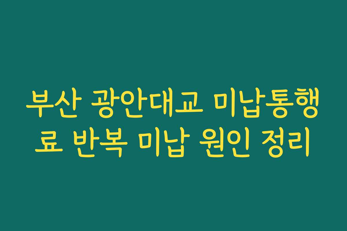 부산 광안대교 미납통행료 반복 미납 원인 정리