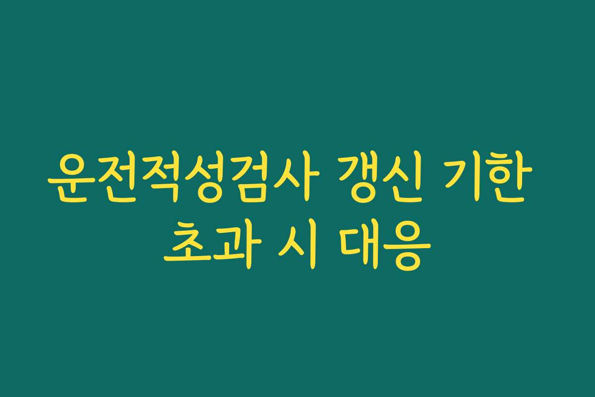 운전적성검사 갱신 기한 초과 시 대응