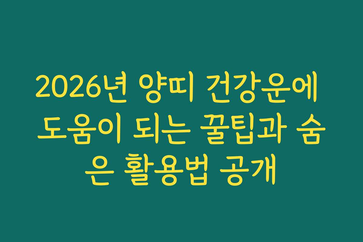 2026년 양띠 건강운에 도움이 되는 꿀팁과 숨은 활용법 공개
