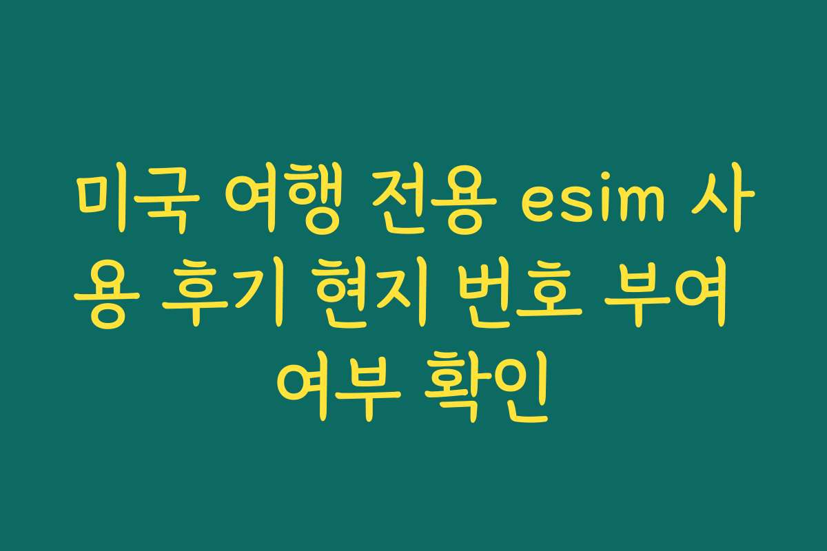 미국 여행 전용 esim 사용 후기 현지 번호 부여 여부 확인