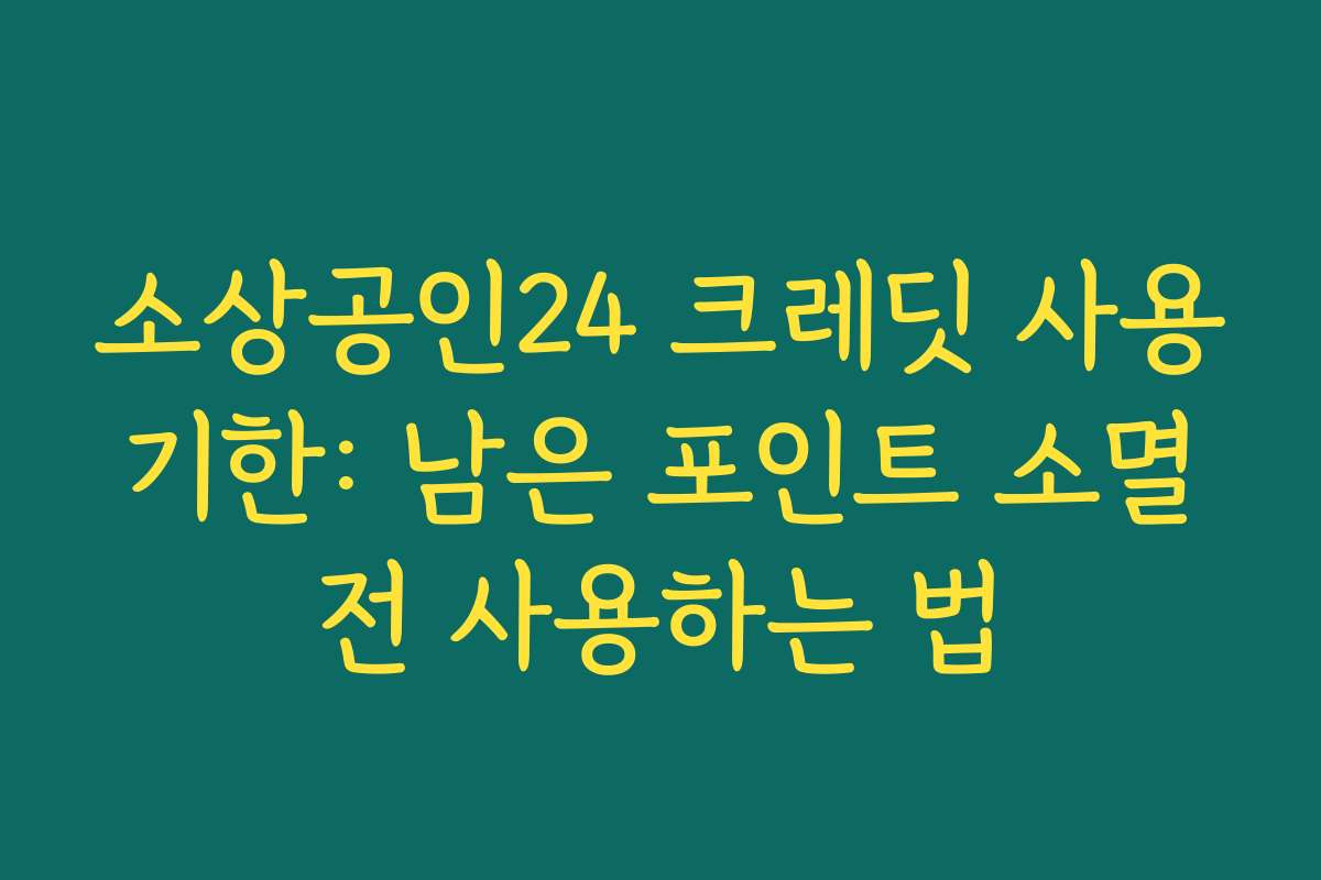 소상공인24 크레딧 사용 기한: 남은 포인트 소멸 전 사용하는 법