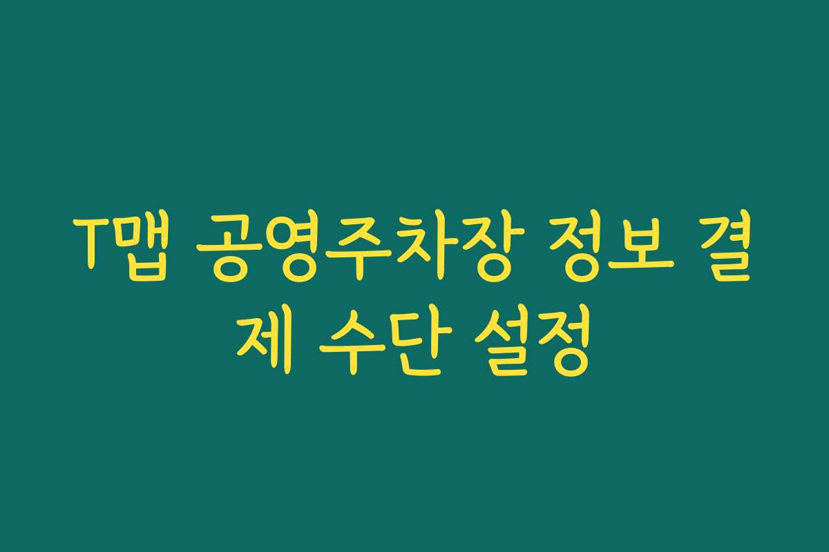 T맵 공영주차장 정보 결제 수단 설정