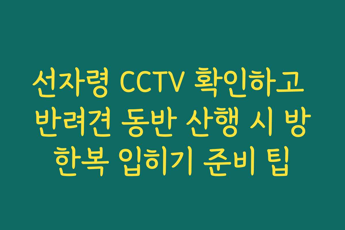 선자령 CCTV 확인하고 반려견 동반 산행 시 방한복 입히기 준비 팁