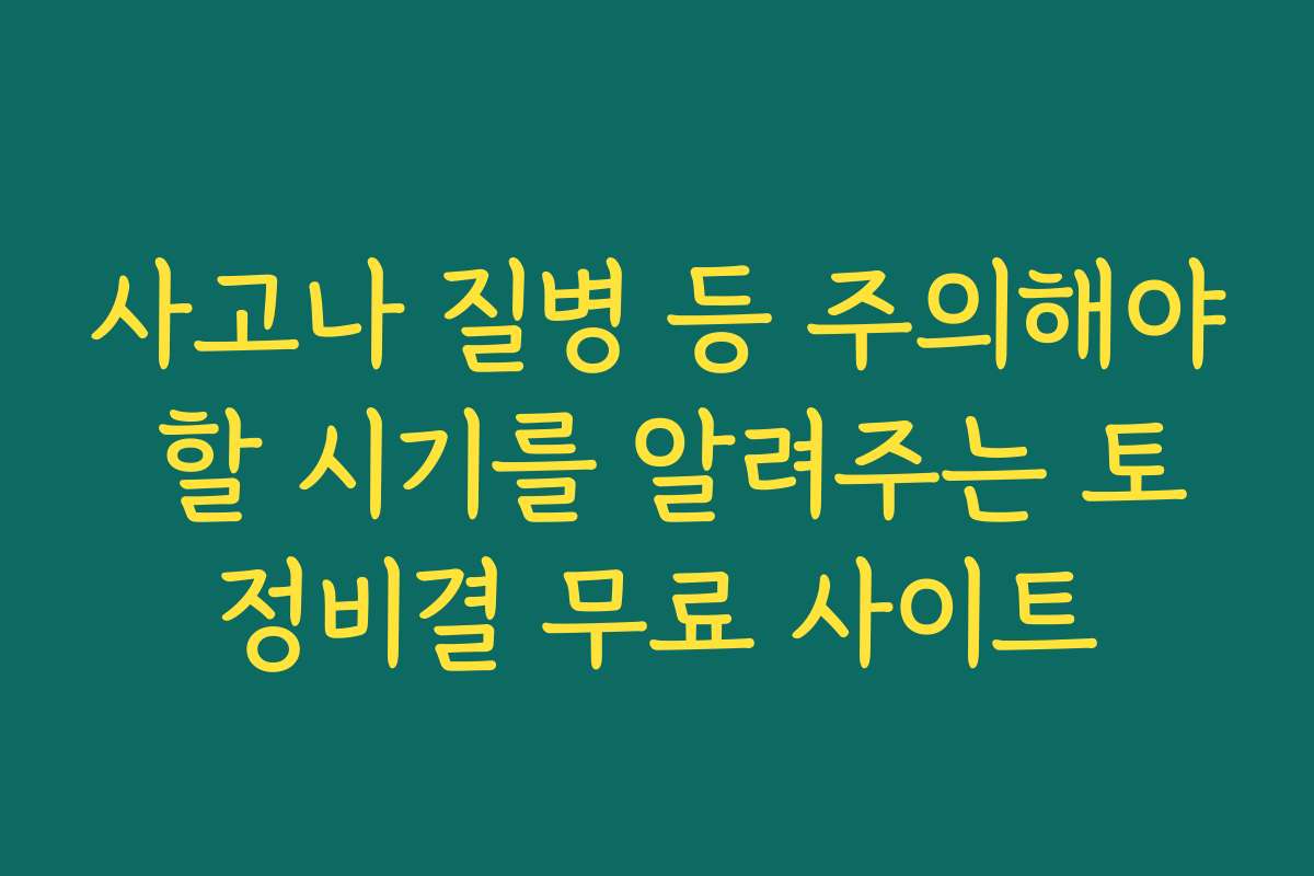 사고나 질병 등 주의해야 할 시기를 알려주는 토정비결 무료 사이트