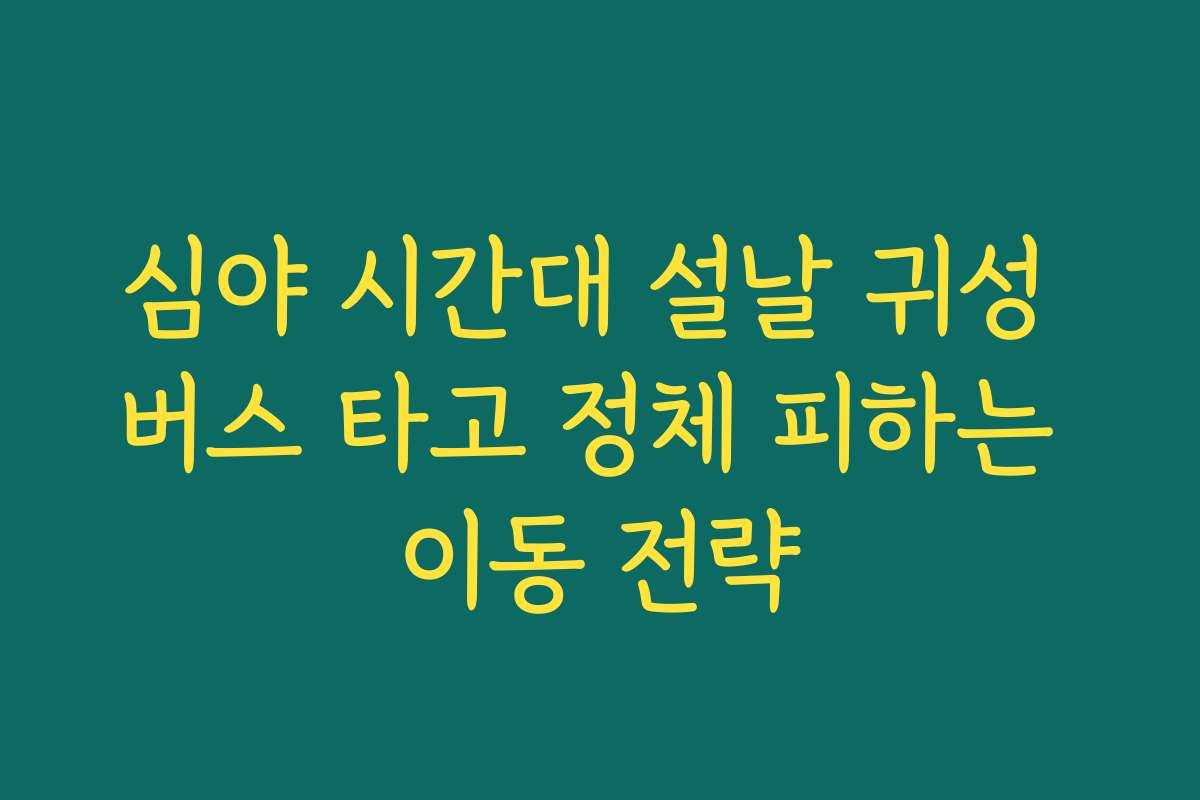 심야 시간대 설날 귀성 버스 타고 정체 피하는 이동 전략