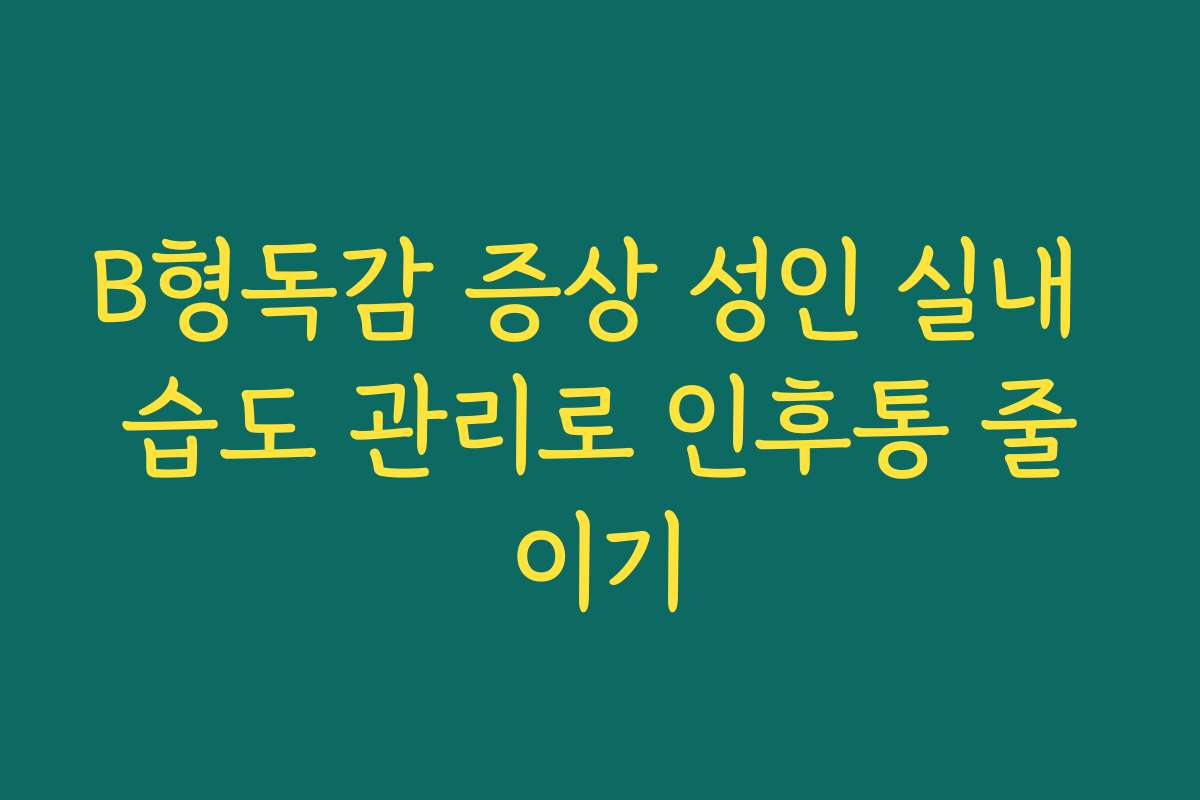 B형독감 증상 성인 실내 습도 관리로 인후통 줄이기