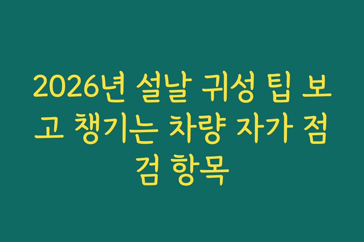2026년 설날 귀성 팁 보고 챙기는 차량 자가 점검 항목
