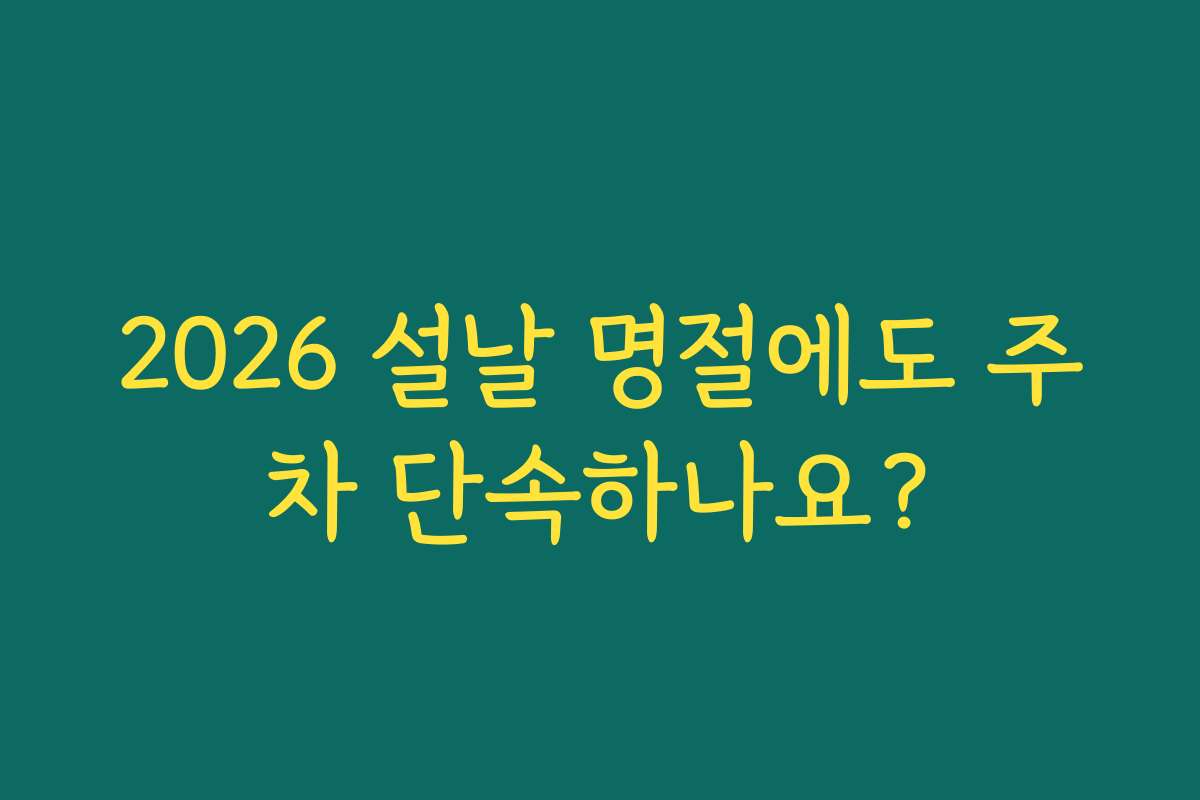 2026 설날 명절에도 주차 단속하나요?