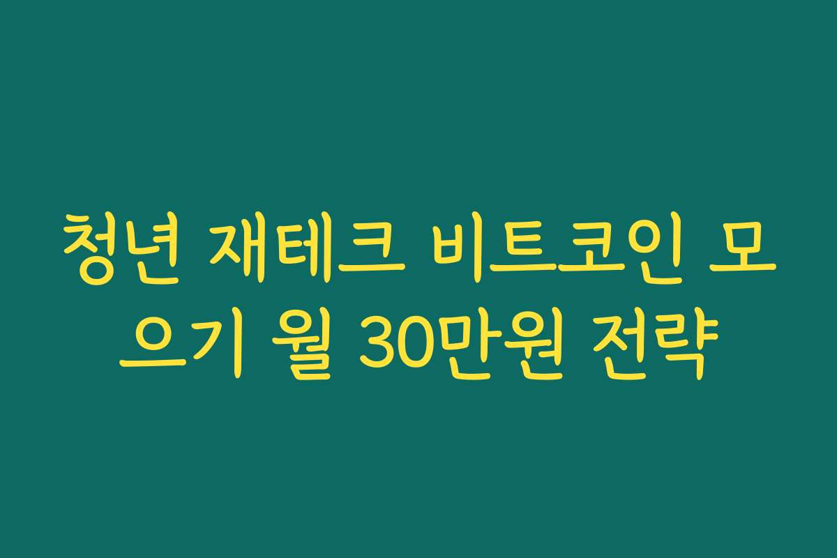 청년 재테크 비트코인 모으기 월 30만원 전략