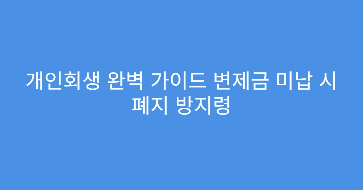 개인회생 완벽 가이드 변제금 미납 시 폐지 방지령