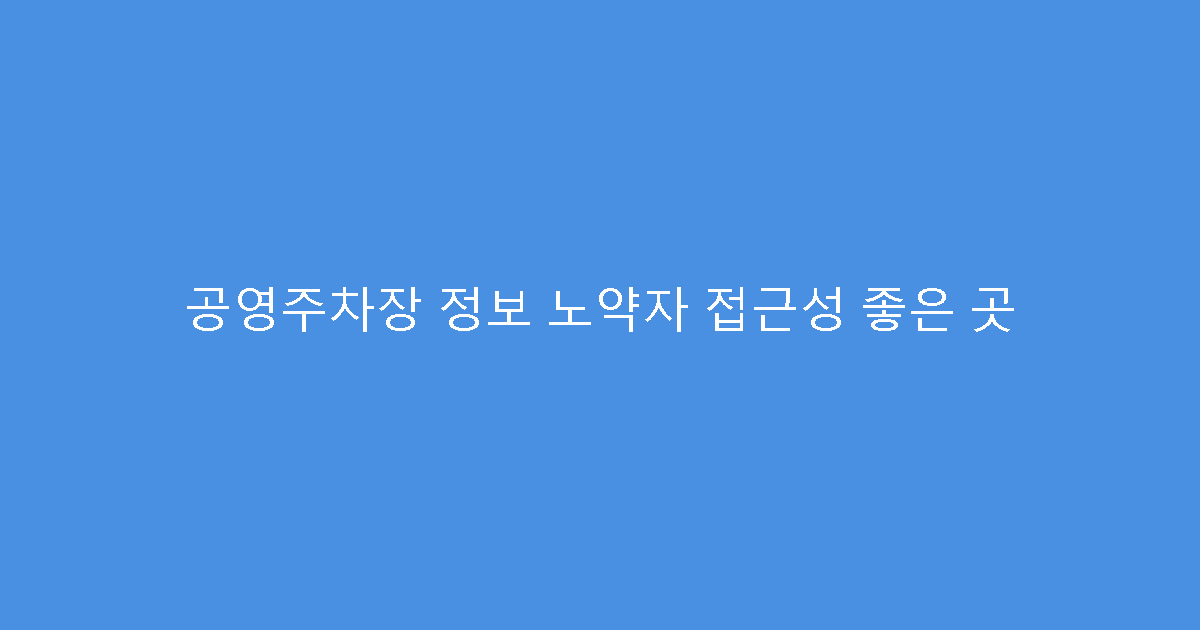 공영주차장 정보 노약자 접근성 좋은 곳
