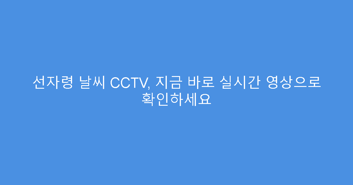 선자령 날씨 CCTV, 지금 바로 실시간 영상으로 확인하세요