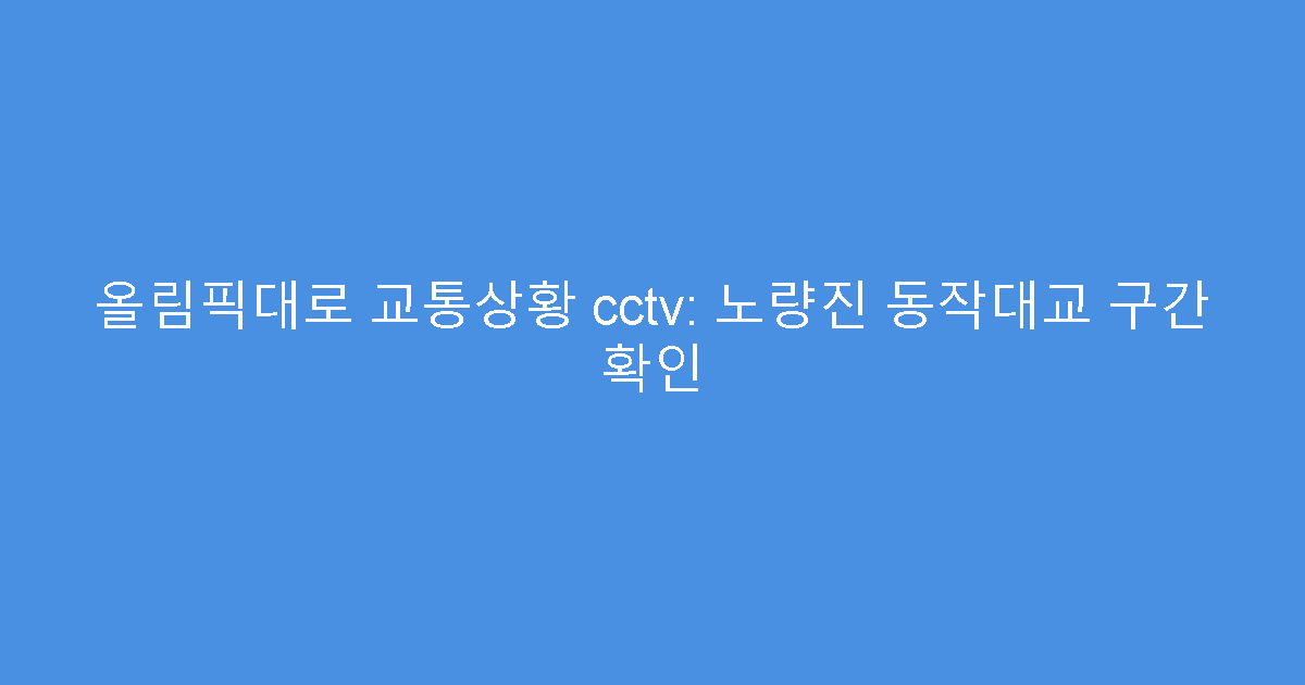 올림픽대로 교통상황 cctv: 노량진 동작대교 구간 확인