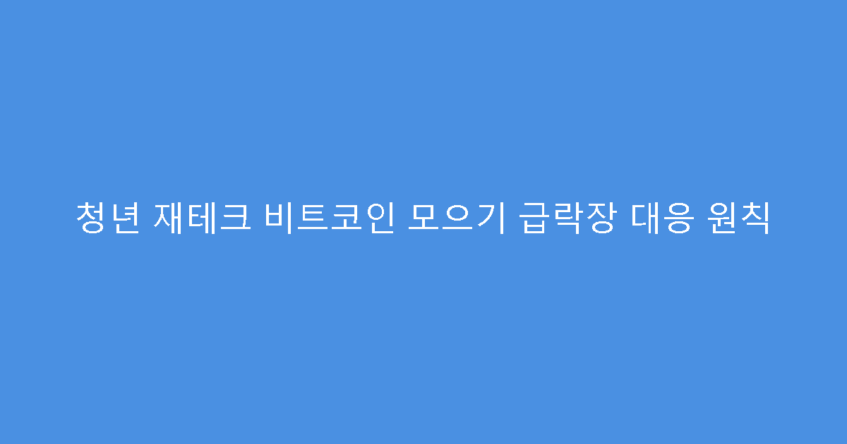 청년 재테크 비트코인 모으기 급락장 대응 원칙