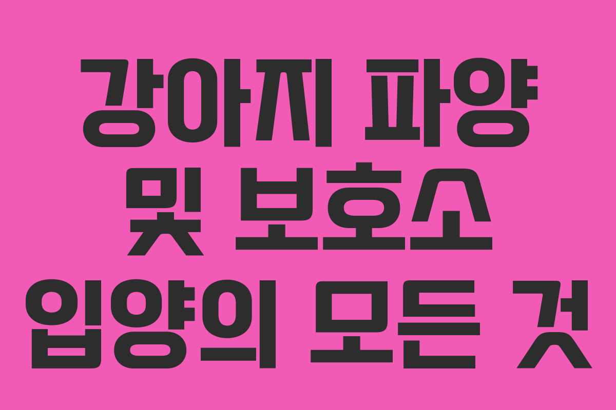 강아지 파양 및 보호소 입양의 모든 것