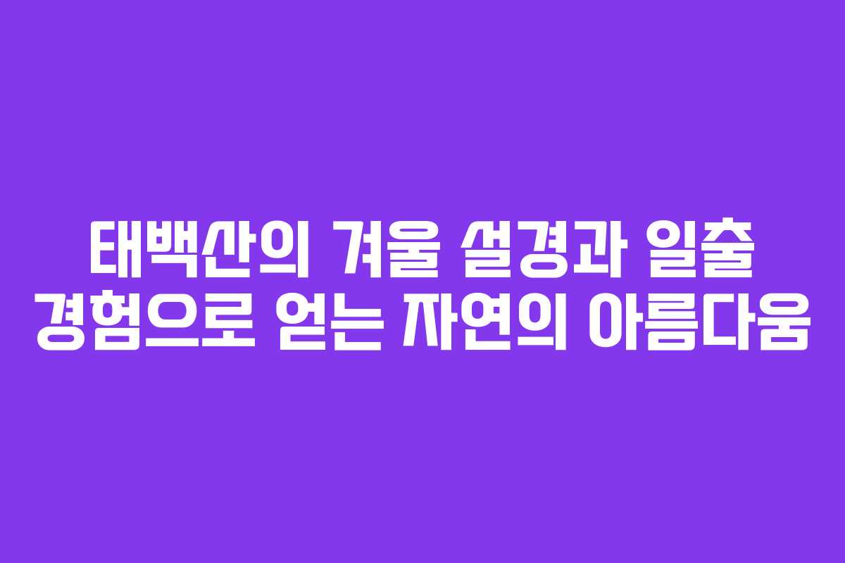 태백산의 겨울 설경과 일출 경험으로 얻는 자연의 아름다움