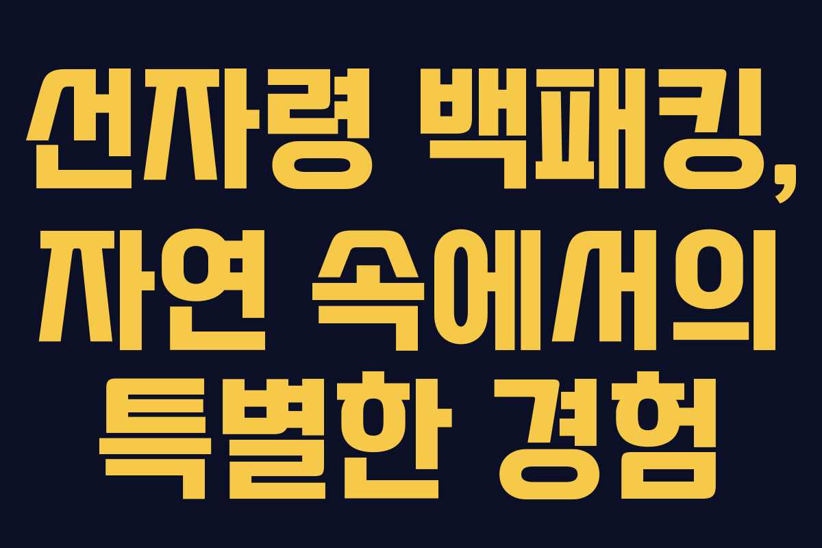 선자령 백패킹, 자연 속에서의 특별한 경험