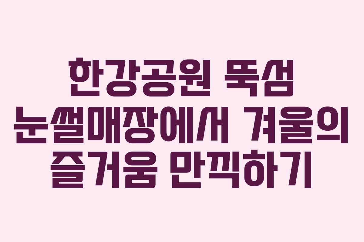 한강공원 뚝섬 눈썰매장에서 겨울의 즐거움 만끽하기