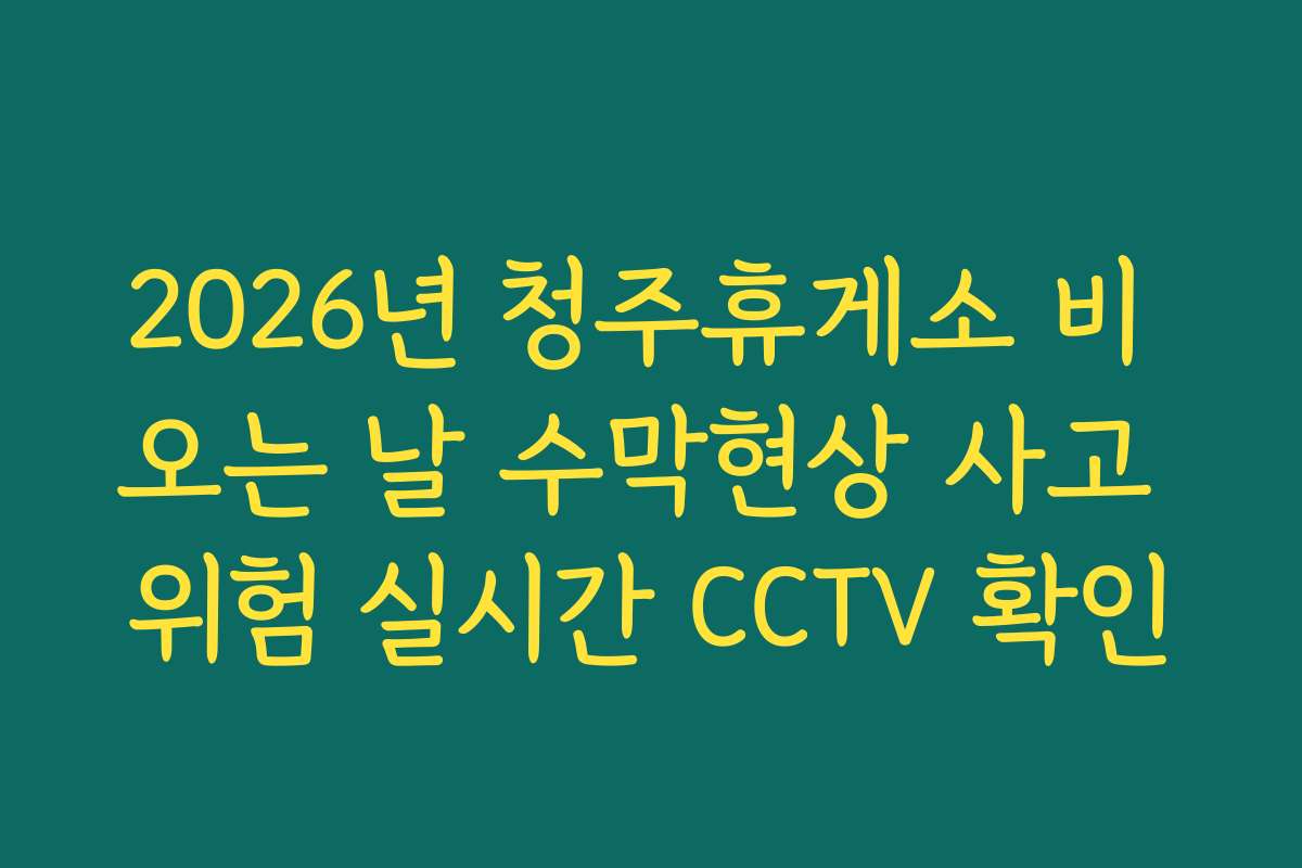 2026년 청주휴게소 비 오는 날 수막현상 사고 위험 실시간 CCTV 확인