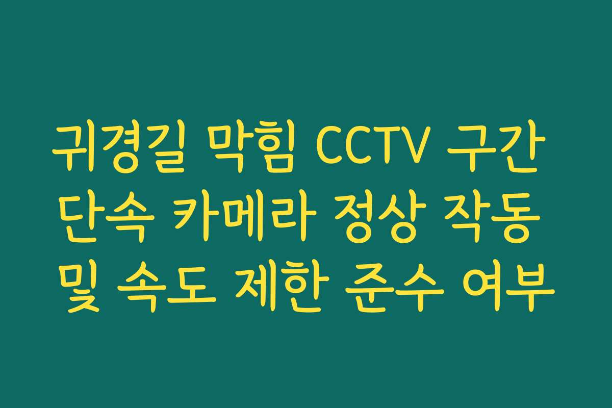 귀경길 막힘 CCTV 구간 단속 카메라 정상 작동 및 속도 제한 준수 여부