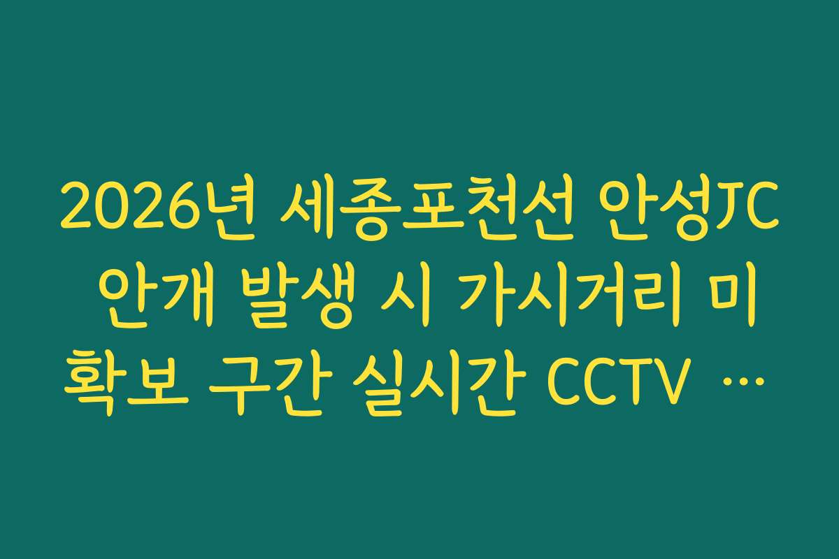 2026년 세종포천선 안성JC 안개 발생 시 가시거리 미확보 구간 실시간 CCTV 확인