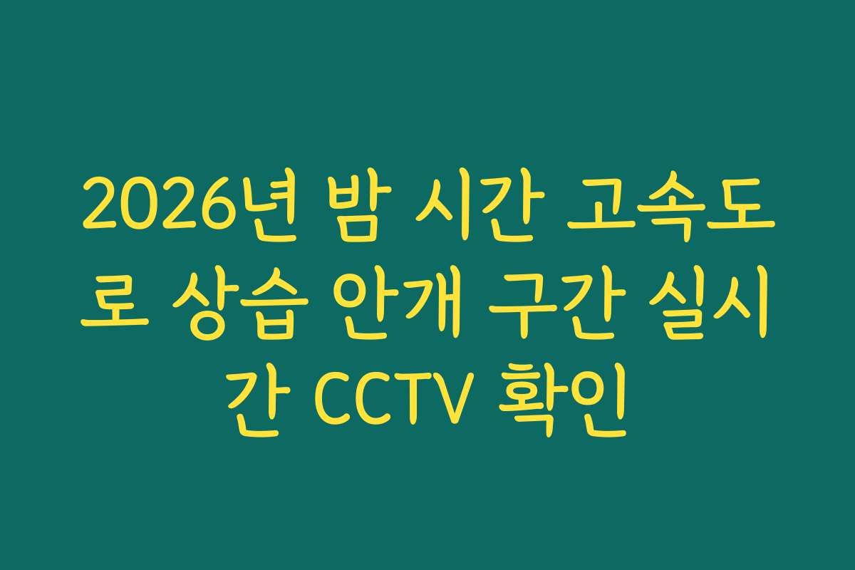 2026년 밤 시간 고속도로 상습 안개 구간 실시간 CCTV 확인