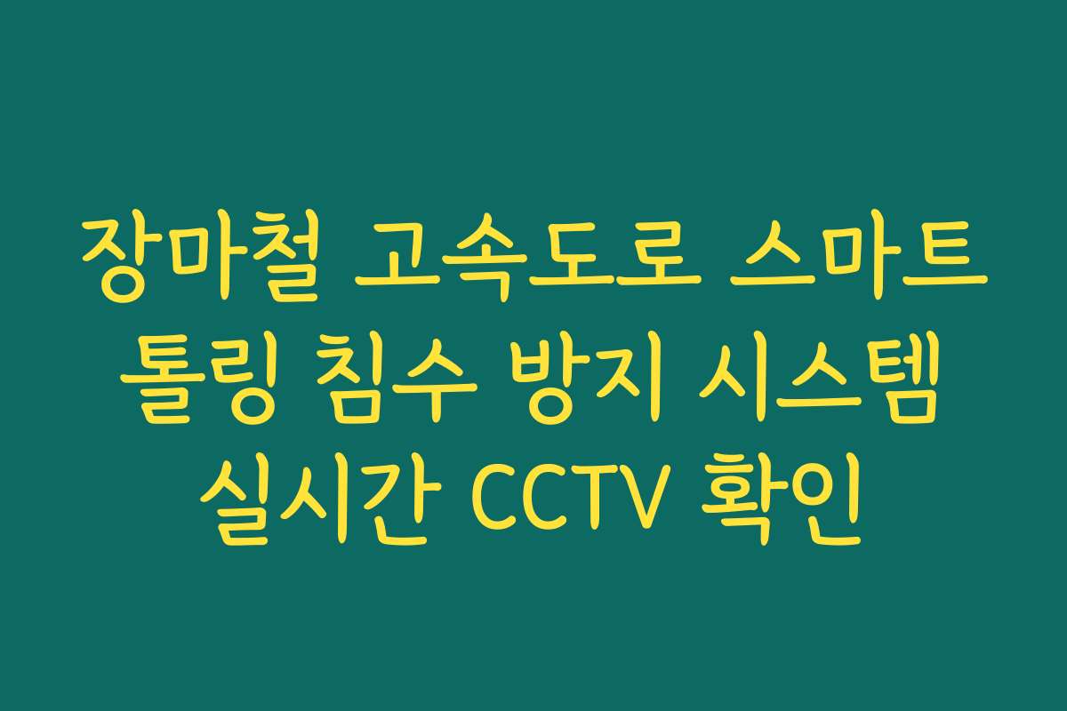 장마철 고속도로 스마트 톨링 침수 방지 시스템 실시간 CCTV 확인