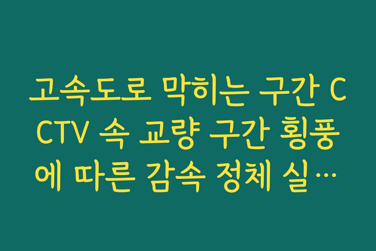 고속도로 막히는 구간 CCTV 속 교량 구간 횡풍에 따른 감속 정체 실시간 확인