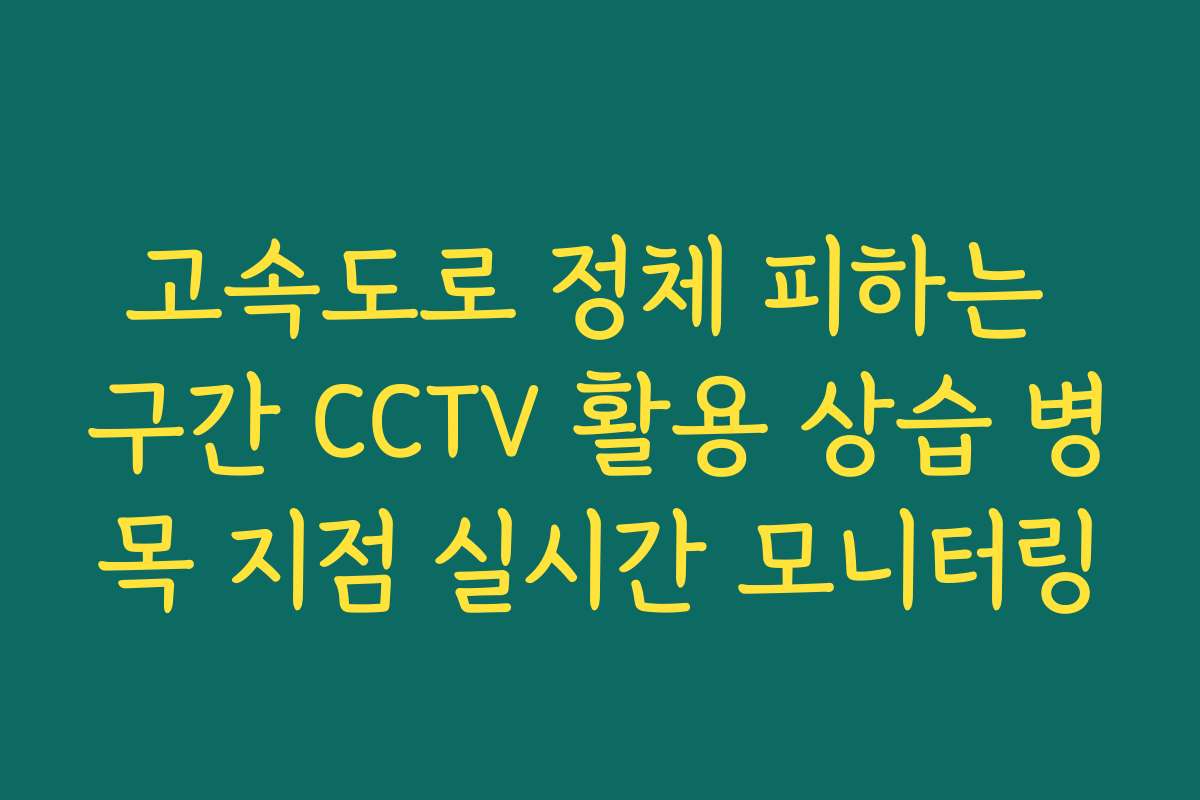 고속도로 정체 피하는 구간 CCTV 활용 상습 병목 지점 실시간 모니터링