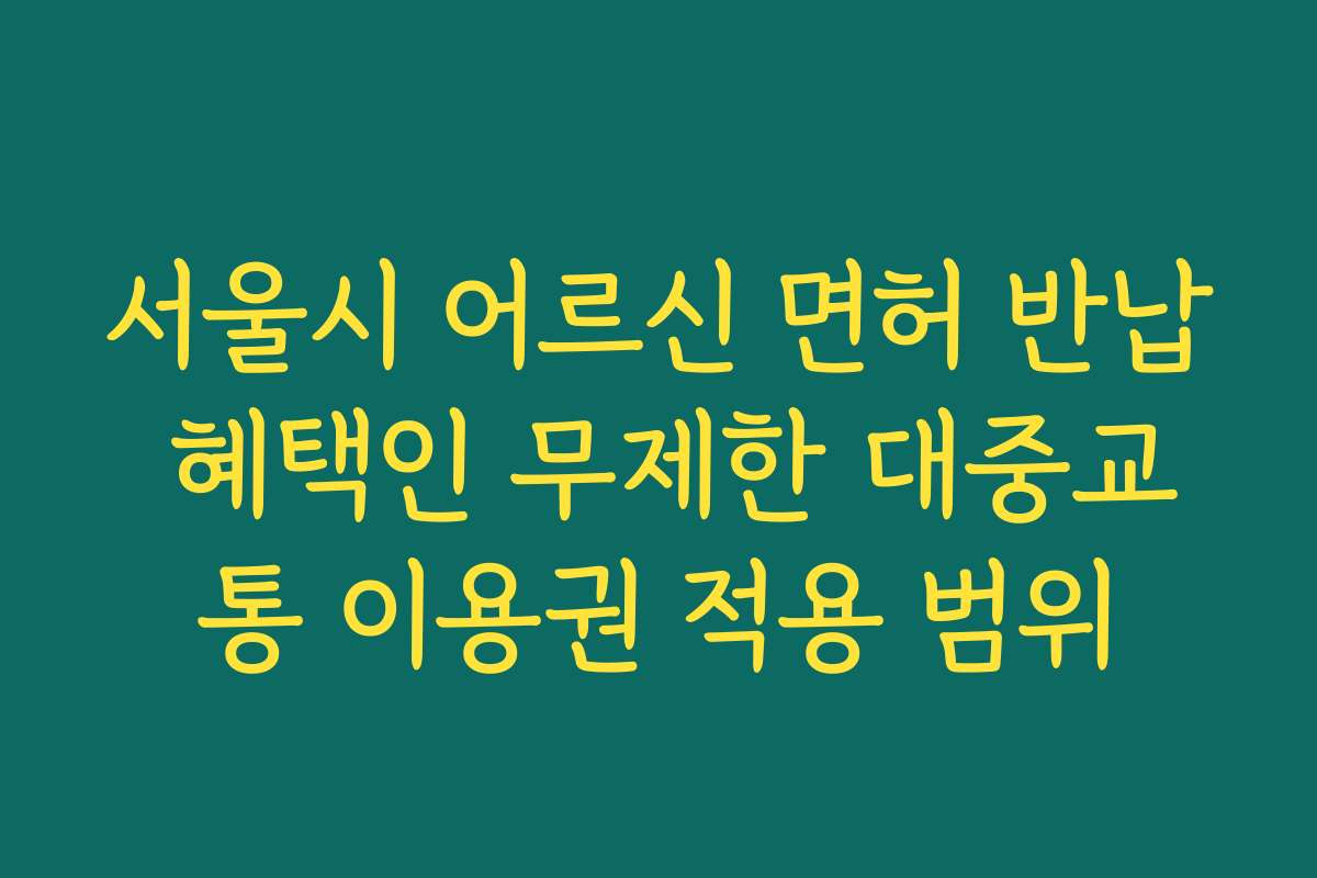 서울시 어르신 면허 반납 혜택인 무제한 대중교통 이용권 적용 범위