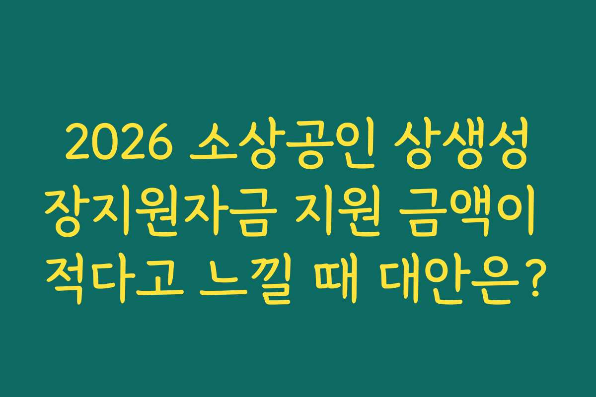 2026 소상공인 상생성장지원자금 지원 금액이 적다고 느낄 때 대안은?
