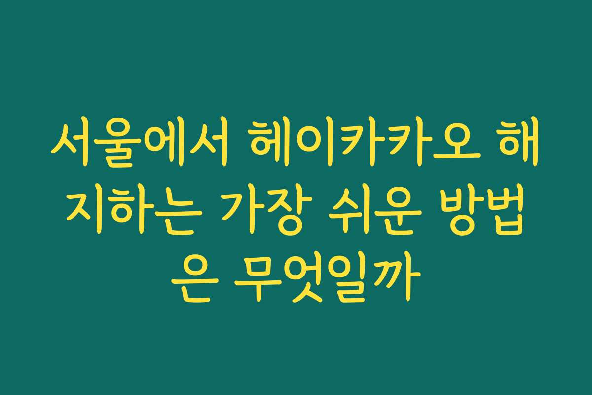 서울에서 헤이카카오 해지하는 가장 쉬운 방법은 무엇일까