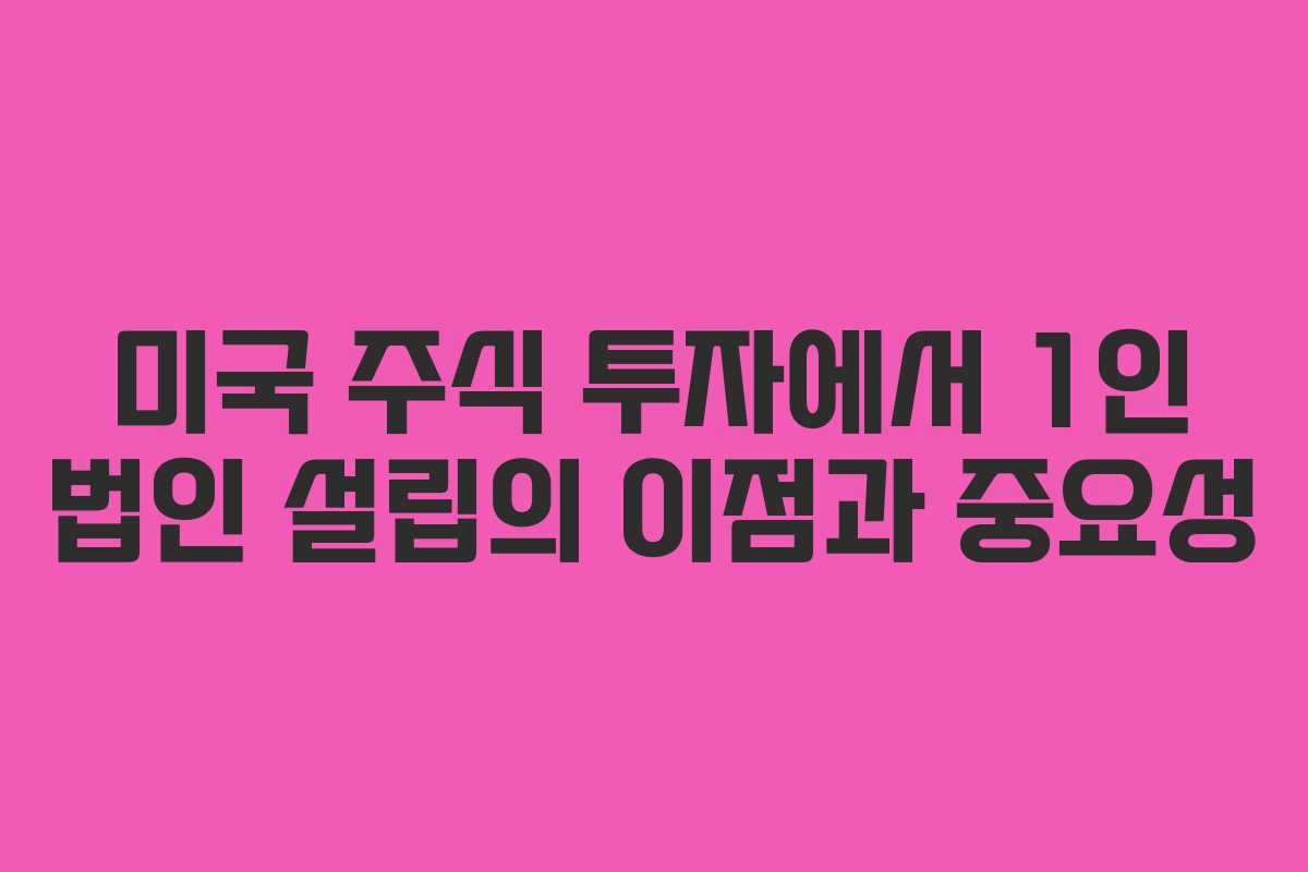 미국 주식 투자에서 1인 법인 설립의 이점과 중요성