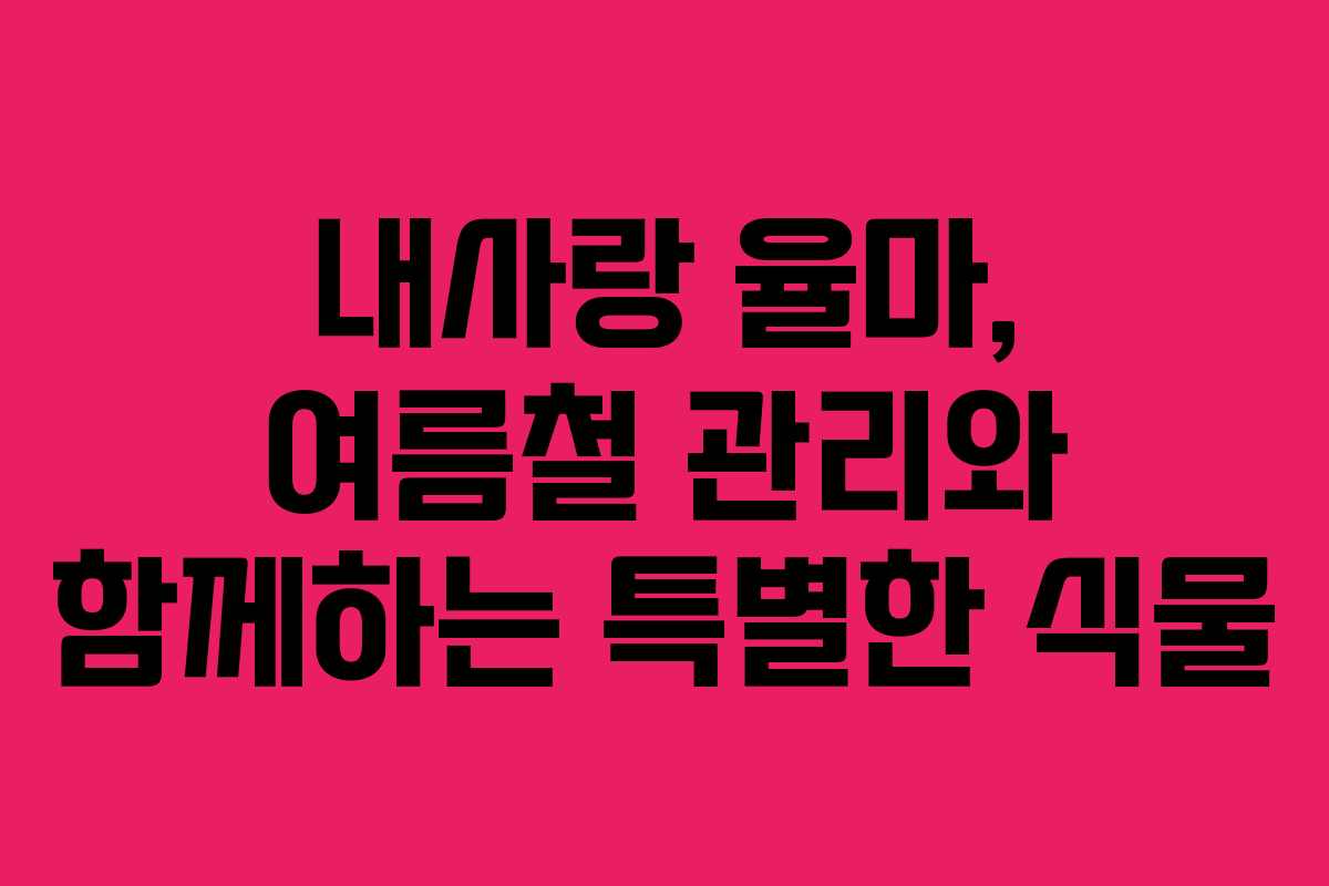 내사랑 율마, 여름철 관리와 함께하는 특별한 식물
