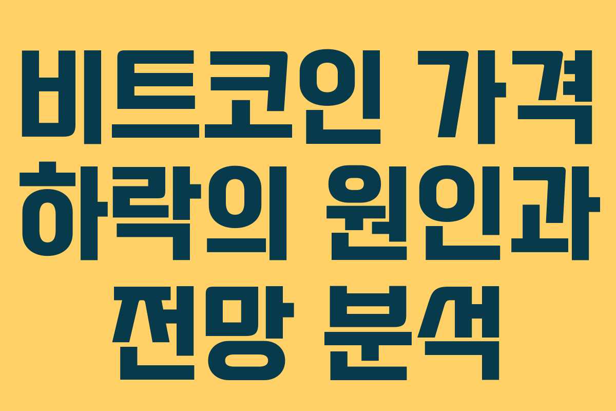 비트코인 가격 하락의 원인과 전망 분석