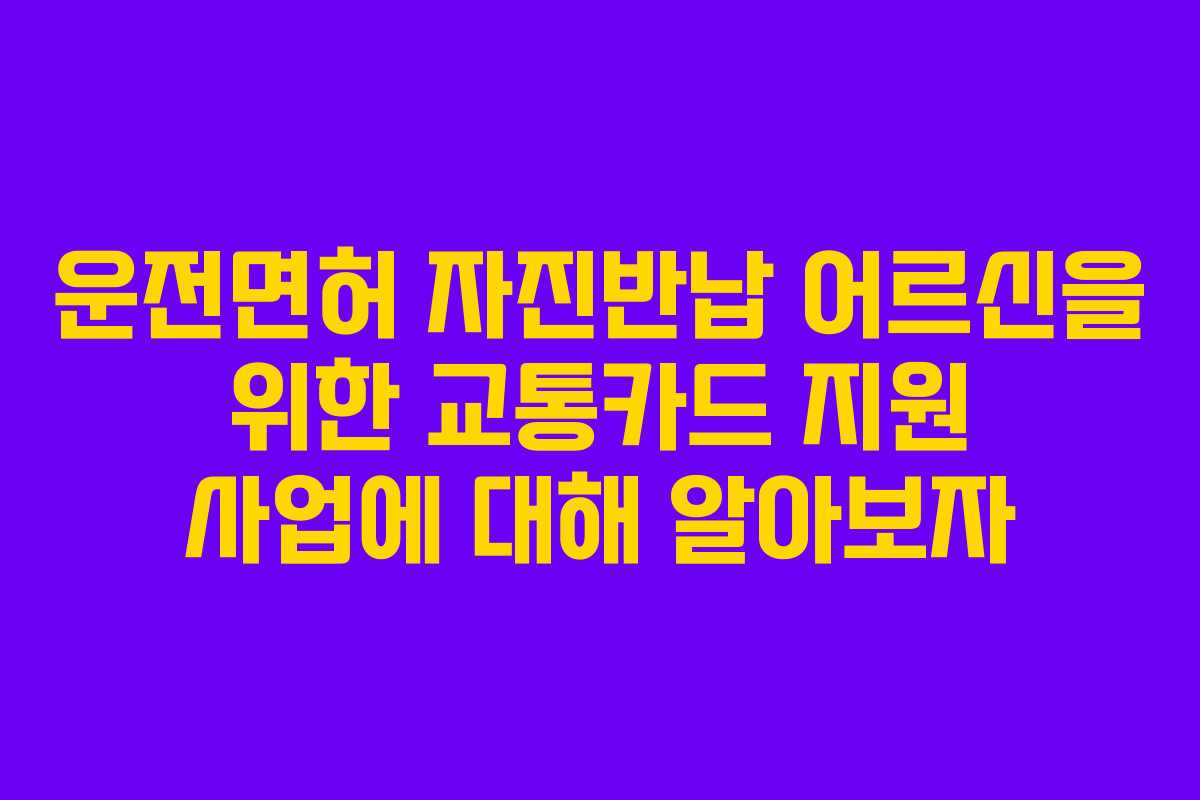 운전면허 자진반납 어르신을 위한 교통카드 지원 사업에 대해 알아보자