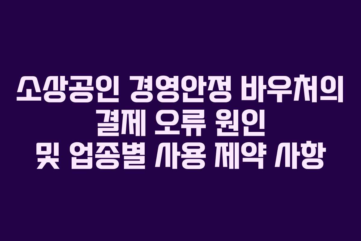 소상공인 경영안정 바우처의 결제 오류 원인 및 업종별 사용 제약 사항