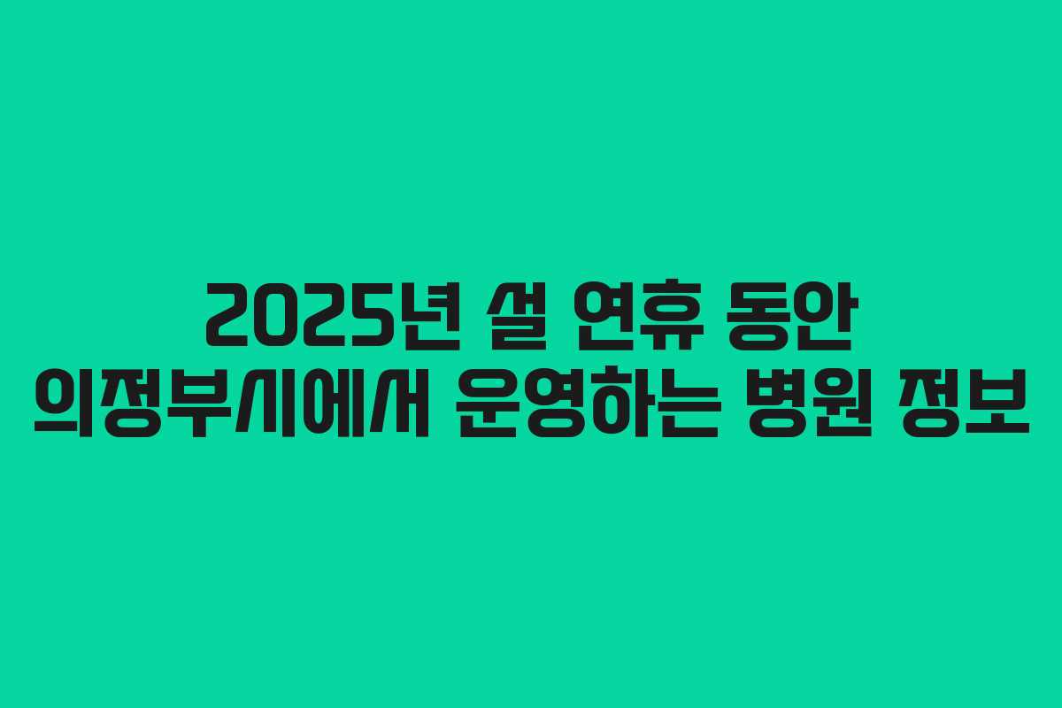 2025년 설 연휴 동안 의정부시에서 운영하는 병원 정보