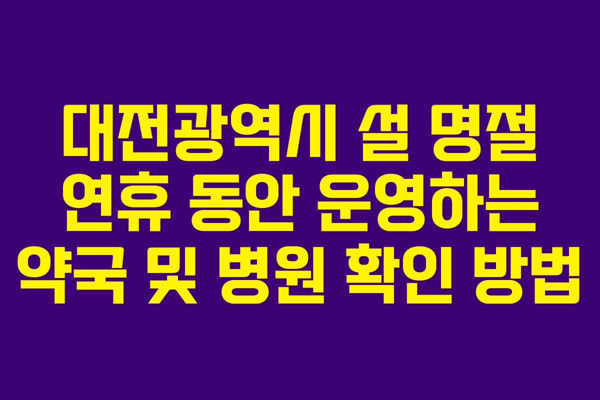 대전광역시 설 명절 연휴 동안 운영하는 약국 및 병원 확인 방법