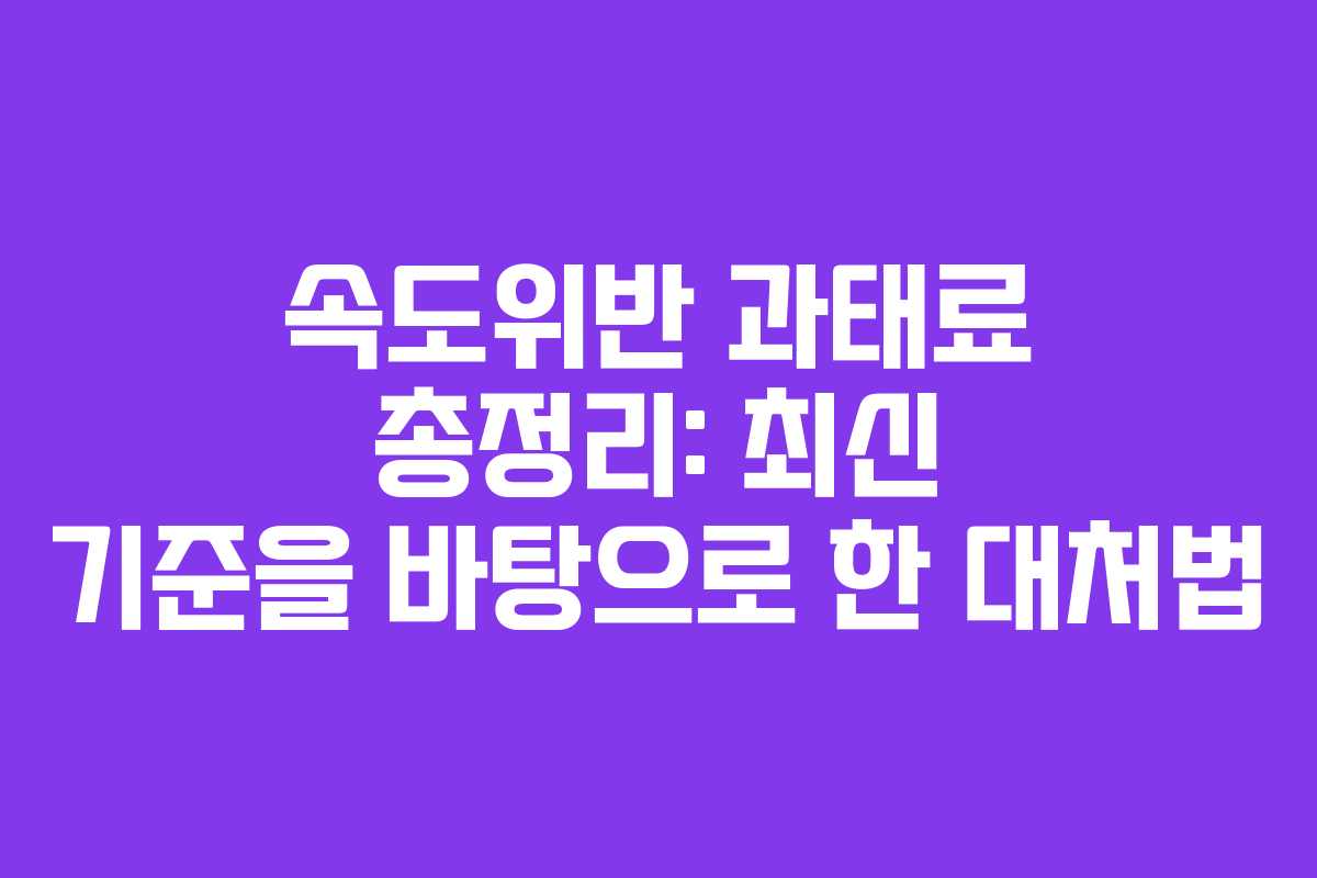 속도위반 과태료 총정리: 최신 기준을 바탕으로 한 대처법