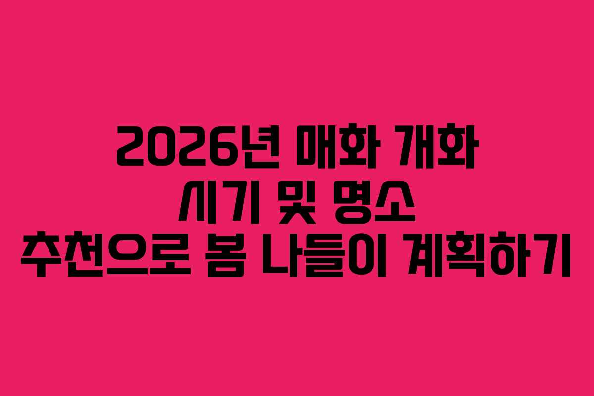 2026년 매화 개화 시기 및 명소 추천으로 봄 나들이 계획하기